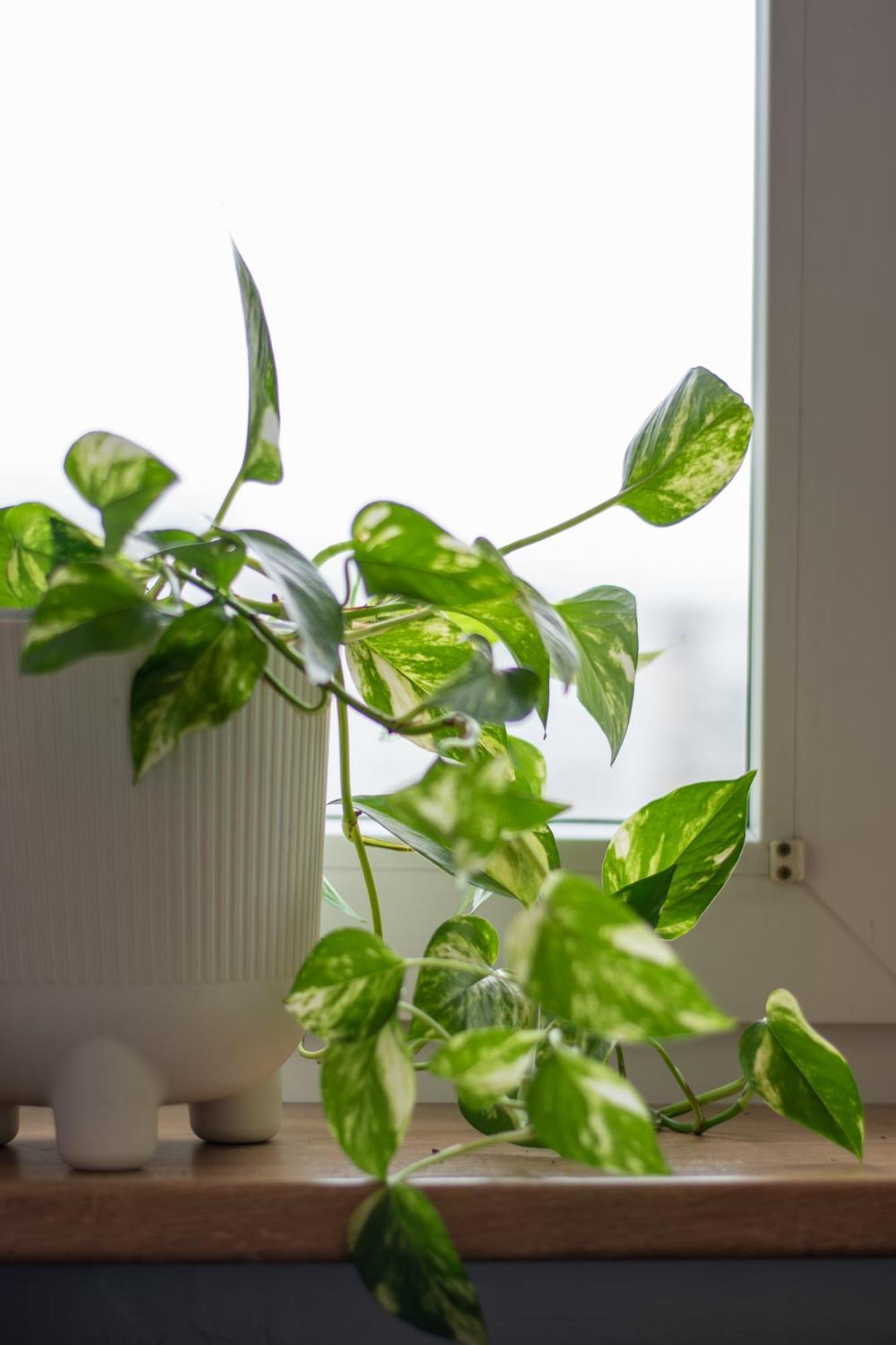 Na Magellana Apartman Varsó Kültér fotó